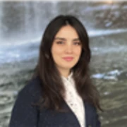 Dr Aysan Mahmoudi Asl