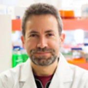 Associate Professor Ian Grainge