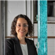 Associate Professor Mahshid Firouzi
